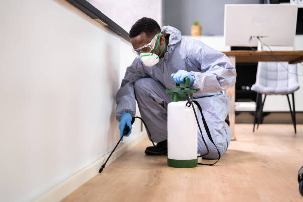 Best Real Estate Pest Inspections  in Brunswick, MD